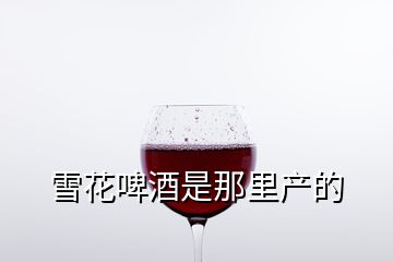 雪花啤酒是那里產(chǎn)的