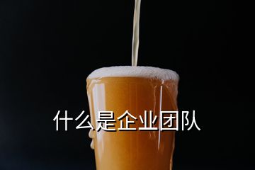 什么是企業(yè)團(tuán)隊