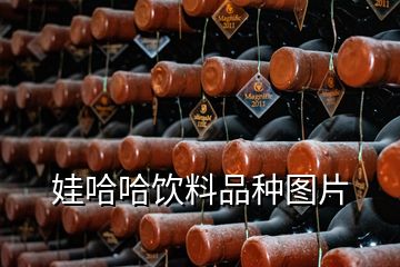 娃哈哈飲料品種圖片