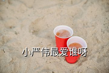 小嚴(yán)偉最愛誰呀