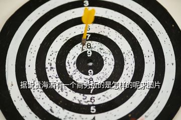 據(jù)說(shuō)貴海酒有一個(gè)商務(wù)版的是怎樣的呢求圖片