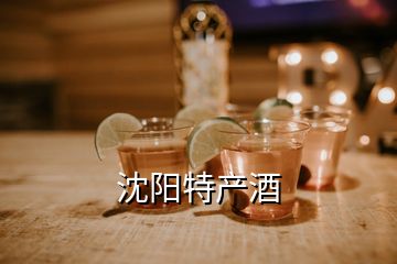 沈陽(yáng)特產(chǎn)酒