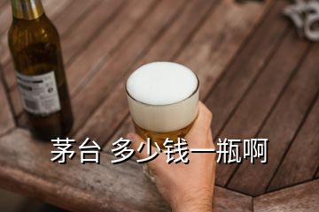 茅臺(tái) 多少錢一瓶啊