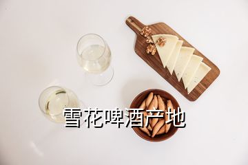 雪花啤酒產(chǎn)地