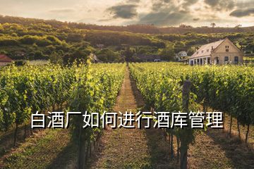 白酒廠如何進(jìn)行酒庫(kù)管理