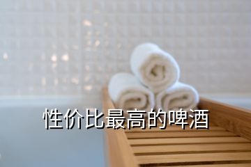 性價(jià)比最高的啤酒