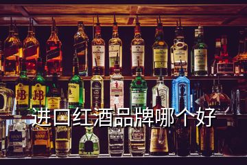 進(jìn)口紅酒品牌哪個(gè)好