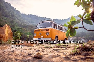 嘉祥祥酒廠327國道太亂太臟到底有沒有紅綠燈車輛橫豎亂的不能