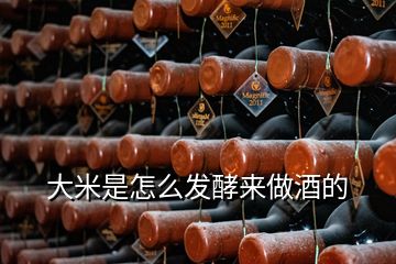 大米是怎么發(fā)酵來(lái)做酒的