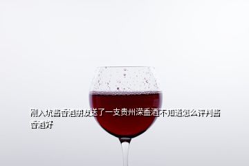 剛入坑醬香酒朋友送了一支貴州溁盉酒不知道怎么評判醬香酒好