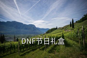 DNF節(jié)日禮盒