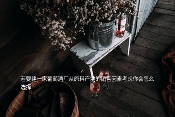 若要建一家葡萄酒廠(chǎng)從原料產(chǎn)地的銷(xiāo)售因素考慮你會(huì)怎么選擇