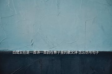 白鷺實在是一首詩一首韻在骨子里的散文詩 怎么仿寫句子
