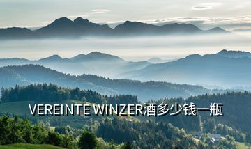 VEREINTE WINZER酒多少錢一瓶