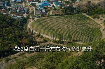 喝53度白酒一斤左右吹氣多少毫升