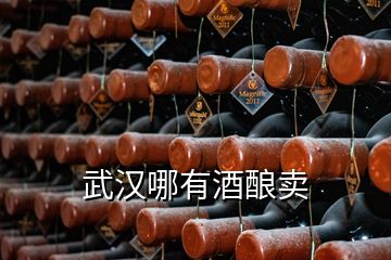 武漢哪有酒釀賣