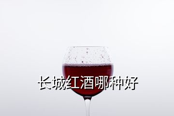 長(zhǎng)城紅酒哪種好