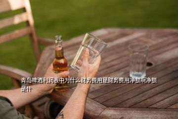 青島啤酒利潤(rùn)表中為什么財(cái)務(wù)費(fèi)用是財(cái)務(wù)費(fèi)用凈額啊凈額是什