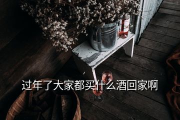 過(guò)年了大家都買什么酒回家啊