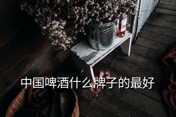 中國啤酒什么牌子的最好