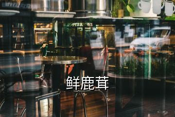 鮮鹿茸