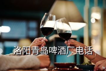 洛陽青島啤酒廠電話