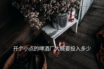 開個(gè)小點(diǎn)的啤酒廠大概要投入多少