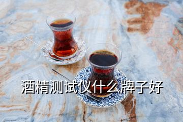 酒精測(cè)試儀什么牌子好