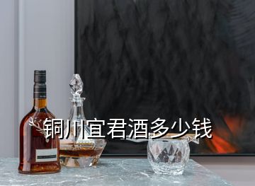 銅川宜君酒多少錢