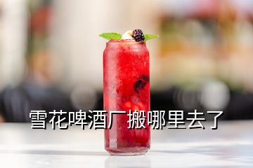 雪花啤酒廠搬哪里去了