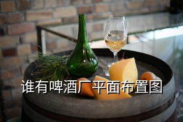 誰(shuí)有啤酒廠平面布置圖