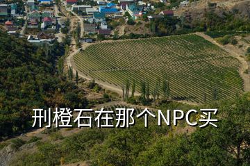 刑橙石在那個(gè)NPC買