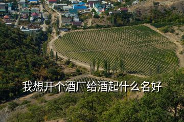 我想開個(gè)酒廠給酒起什么名好