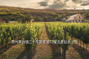 貴州茅臺鎮(zhèn)三十年原漿酒52度五星鉆多少錢