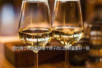 想代理個(gè)啤酒品牌哪個(gè)牌子的口感銷量要好一些