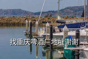 找重慶啤酒廠地址謝謝