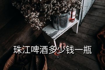 珠江啤酒多少錢一瓶