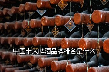 中國十大啤酒品牌排名是什么