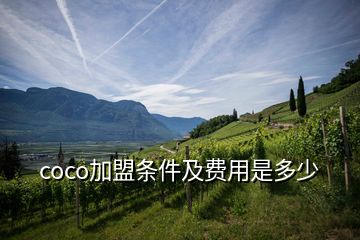 coco加盟條件及費用是多少