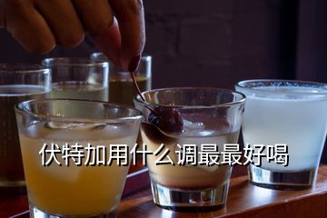 伏特加用什么調(diào)最最好喝