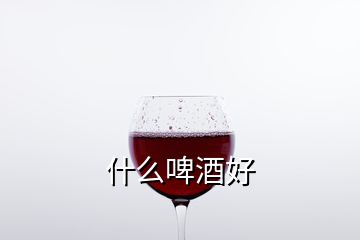 什么啤酒好