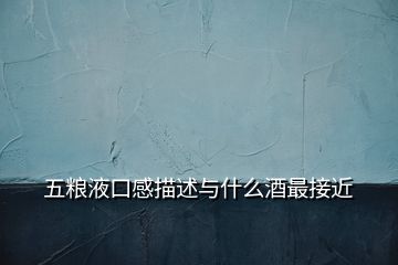 五糧液口感描述與什么酒最接近