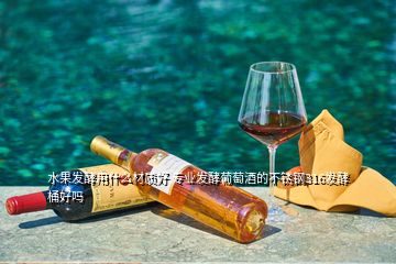 水果發(fā)酵用什么材質(zhì)好 專業(yè)發(fā)酵葡萄酒的不銹鋼316發(fā)酵桶好嗎