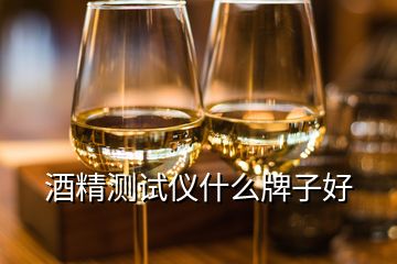 酒精測(cè)試儀什么牌子好