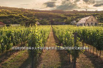 項(xiàng)羽和劉邦當(dāng)年水火不容劉備和關(guān)羽三國時(shí)卻是好兄弟如果有一