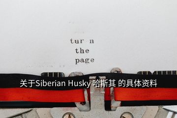 關(guān)于Siberian Husky 哈斯其 的具體資料