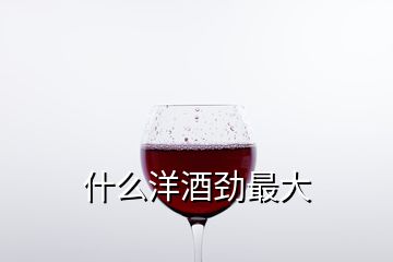 什么洋酒勁最大