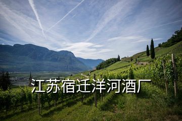 江蘇宿遷洋河酒廠