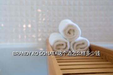 BRANDY XO SONATA這個(gè)酒怎么樣多少錢