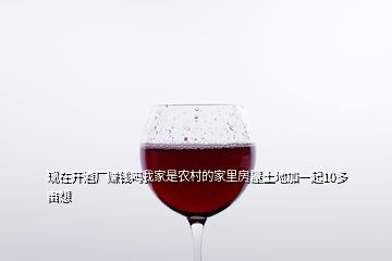 現(xiàn)在開酒廠賺錢嗎我家是農(nóng)村的家里房屋土地加一起10多畝想